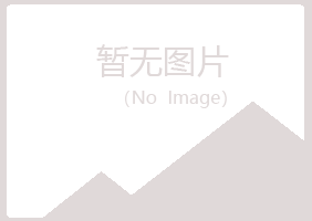 赤峰红山山柏电讯有限公司